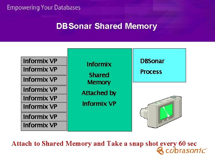 DBSonar Shared Memory Informix VP Informix VP Informix Shared Memory DBSonar Process Attached by