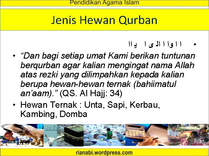 Jenis Hewan Qurban • ﺍ ﺍ ﻭﺍ ﺍ ﺍﻟ ﻯ ﺍ ﻳ ﺍﺍ •