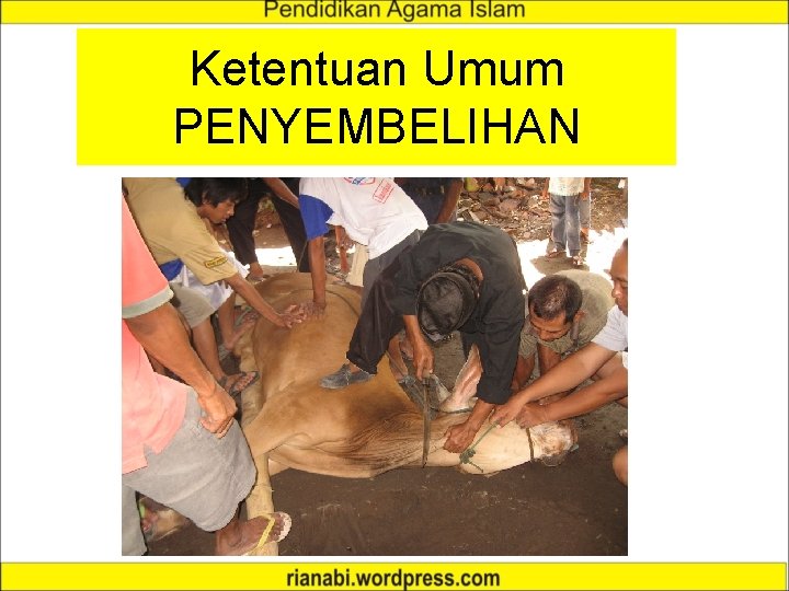 Ketentuan Umum PENYEMBELIHAN 