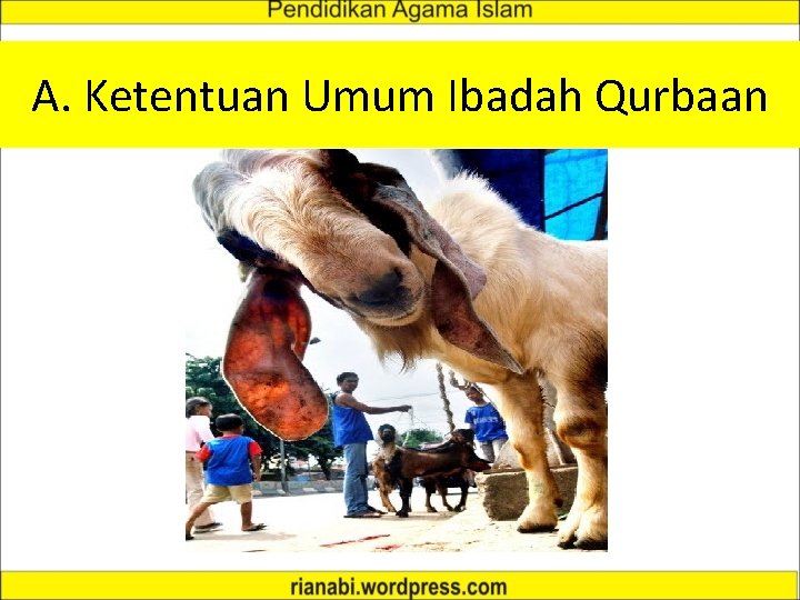 A. Ketentuan Umum Ibadah Qurbaan 