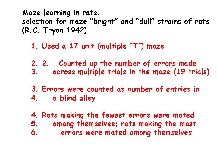 Maze learning in rats: selection for maze “bright” and “dull” strains of rats (R.