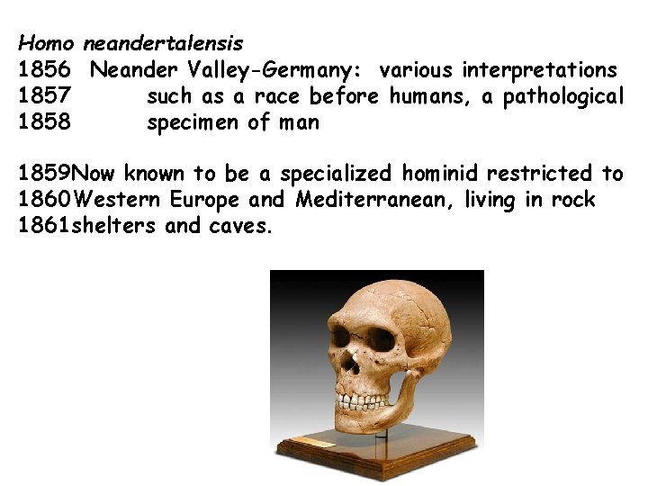 Homo neandertalensis 1856 Neander Valley-Germany: various interpretations 1857 such as a race before humans,