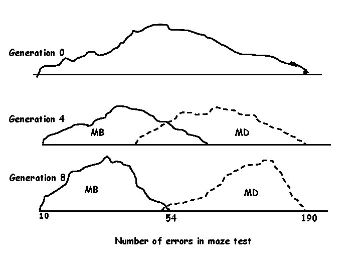 Generation 0 Generation 4 MB Generation 8 10 MD MB MD 54 Number of