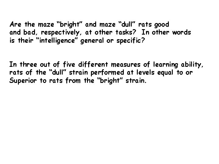 Are the maze “bright” and maze “dull” rats good and bad, respectively, at other