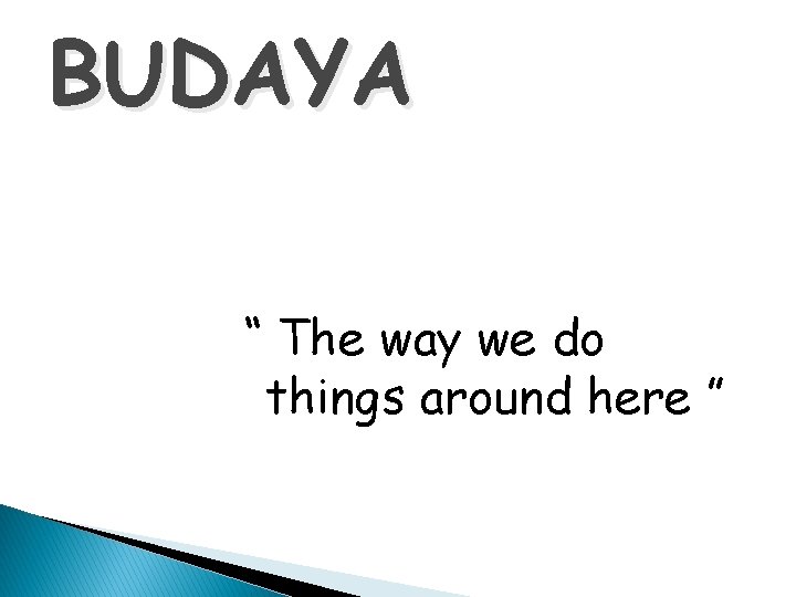 BUDAYA “ The way we do things around here ” 