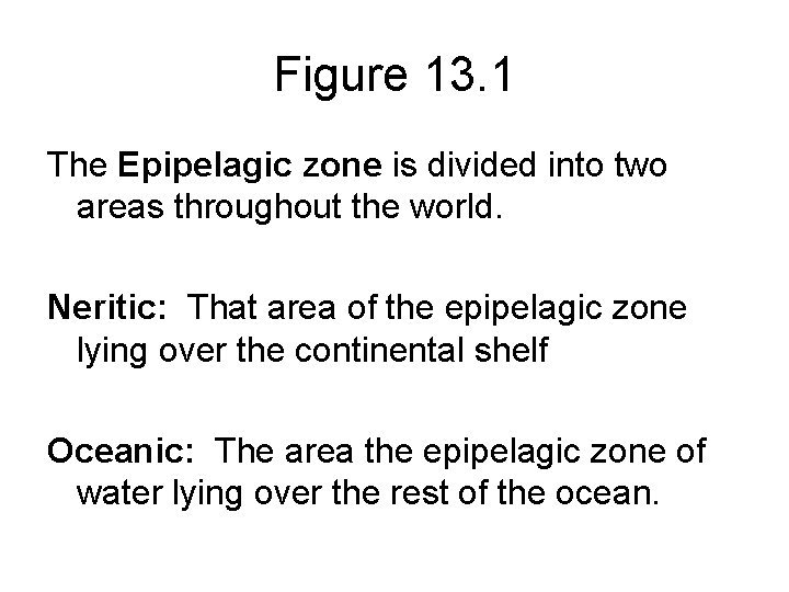 Figure 13. 1 The Epipelagic zone is divided into two areas throughout the world.