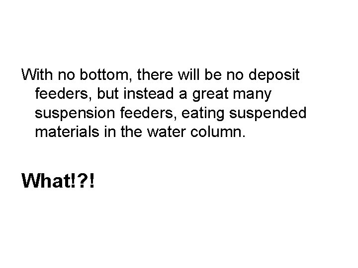 With no bottom, there will be no deposit feeders, but instead a great many