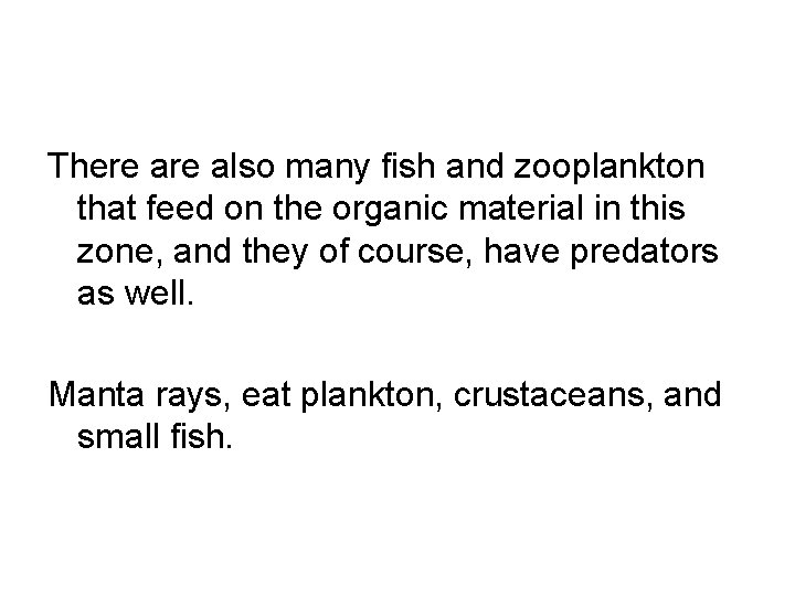 There also many fish and zooplankton that feed on the organic material in this