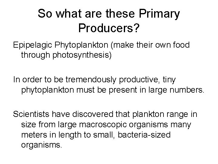 So what are these Primary Producers? Epipelagic Phytoplankton (make their own food through photosynthesis)