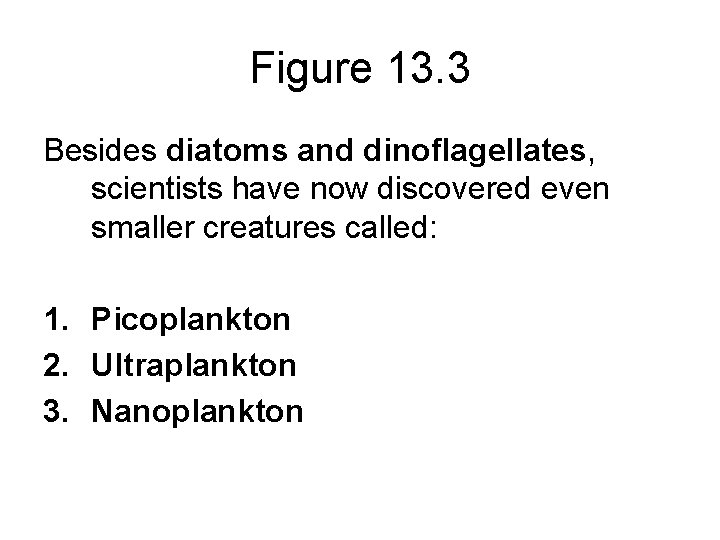 Figure 13. 3 Besides diatoms and dinoflagellates, scientists have now discovered even smaller creatures