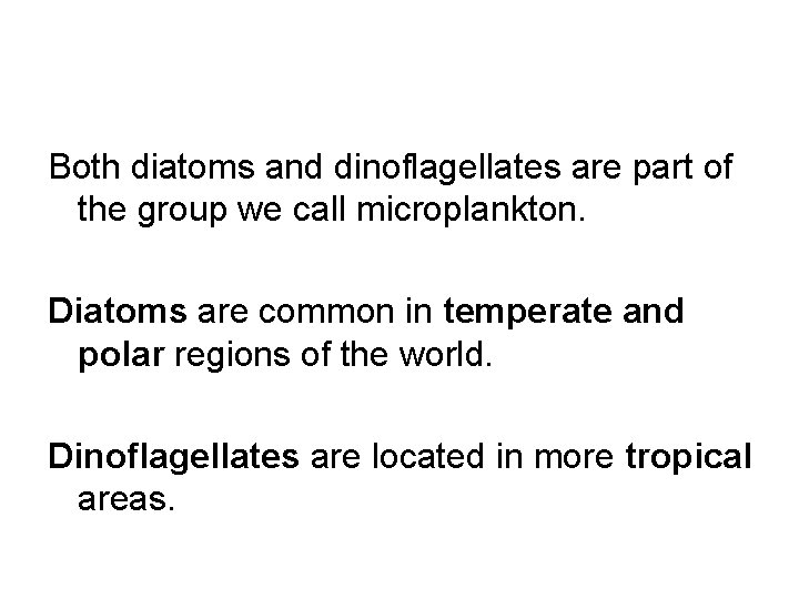 Both diatoms and dinoflagellates are part of the group we call microplankton. Diatoms are