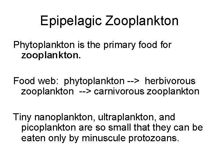 Epipelagic Zooplankton Phytoplankton is the primary food for zooplankton. Food web: phytoplankton --> herbivorous