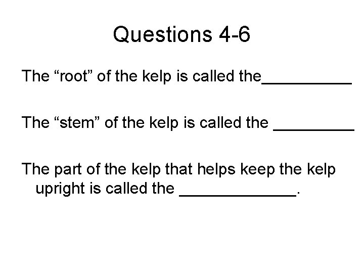 Questions 4 -6 The “root” of the kelp is called the_____ The “stem” of