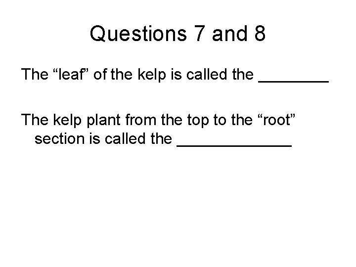 Questions 7 and 8 The “leaf” of the kelp is called the ____ The