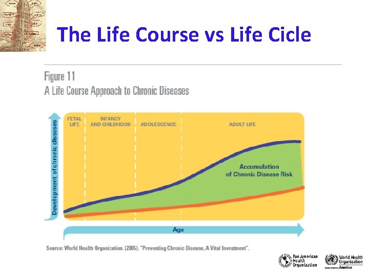 The Life Course vs Life Cicle 