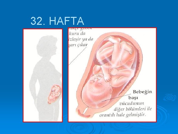 32. HAFTA 