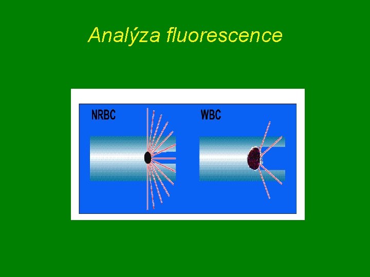 Analýza fluorescence 