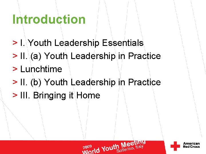 Introduction > I. Youth Leadership Essentials > II. (a) Youth Leadership in Practice >