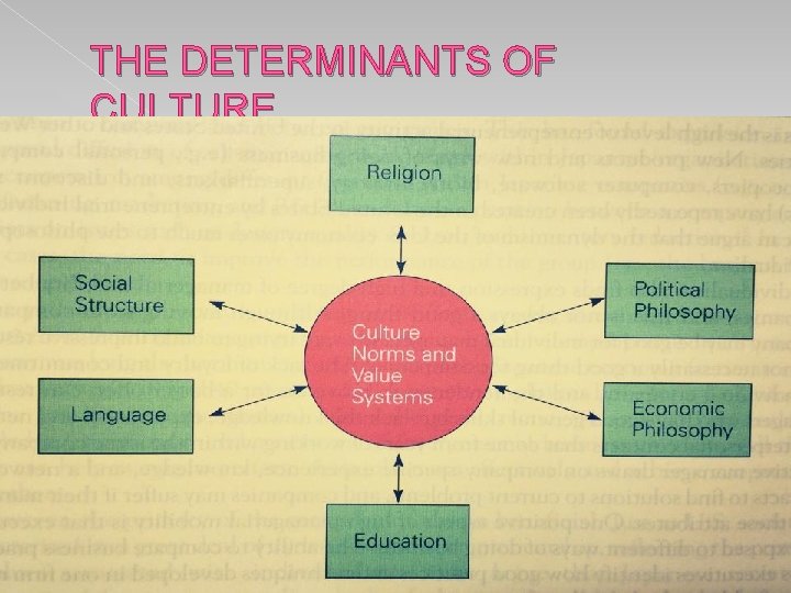 THE DETERMINANTS OF CULTURE 
