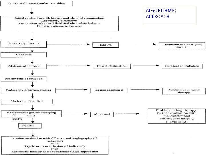 ALGORITHMIC APPROACH or marker 