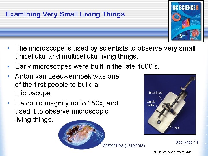 Examining Very Small Living Things • The microscope is used by scientists to observe