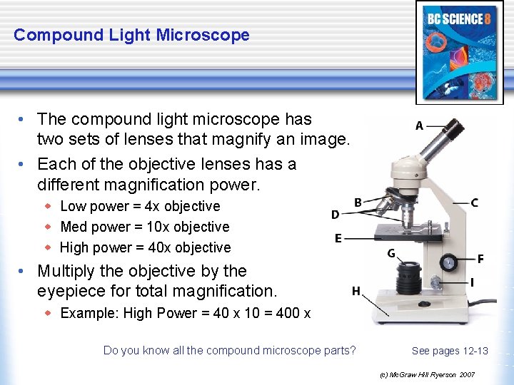 Compound Light Microscope • The compound light microscope has two sets of lenses that