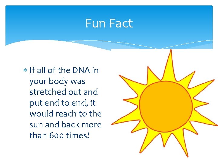 Fun Fact If all of the DNA in your body was stretched out and