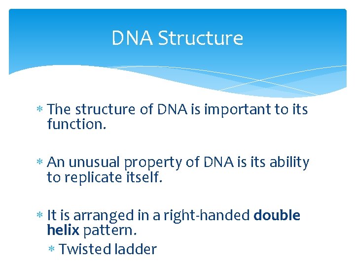DNA Structure The structure of DNA is important to its function. An unusual property