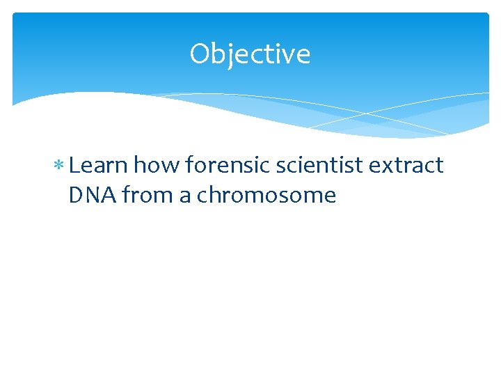 Objective Learn how forensic scientist extract DNA from a chromosome 