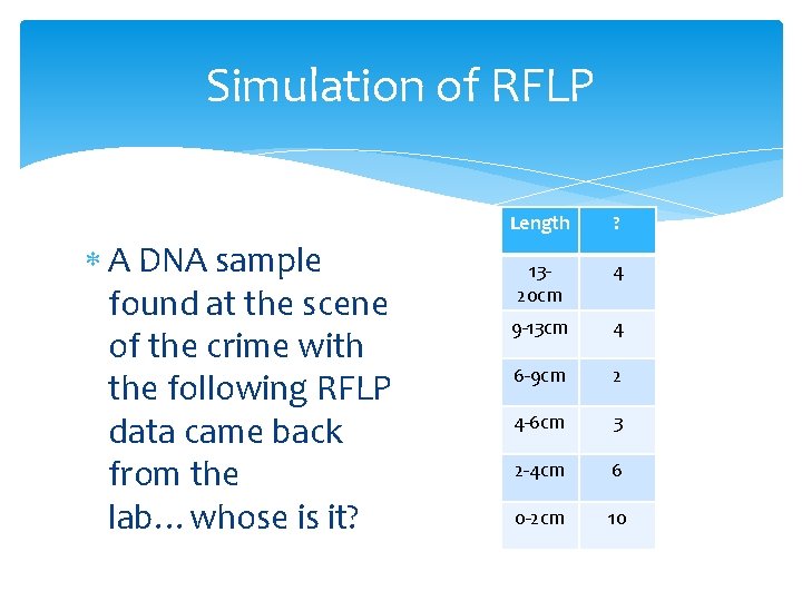Simulation of RFLP A DNA sample found at the scene of the crime with