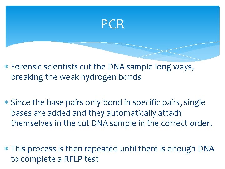 PCR Forensic scientists cut the DNA sample long ways, breaking the weak hydrogen bonds