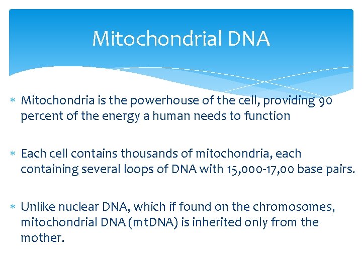 Mitochondrial DNA Mitochondria is the powerhouse of the cell, providing 90 percent of the