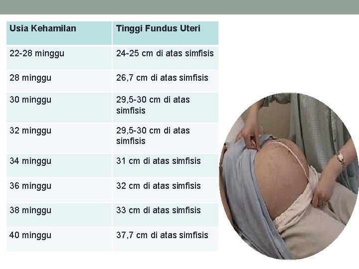 Usia Kehamilan Tinggi Fundus Uteri 22 -28 minggu 24 -25 cm di atas simfisis