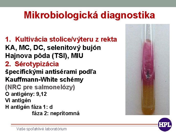 Mikrobiologická diagnostika 1. Kultivácia stolice/výteru z rekta KA, MC, DC, selenitový bujón Hajnova pôda