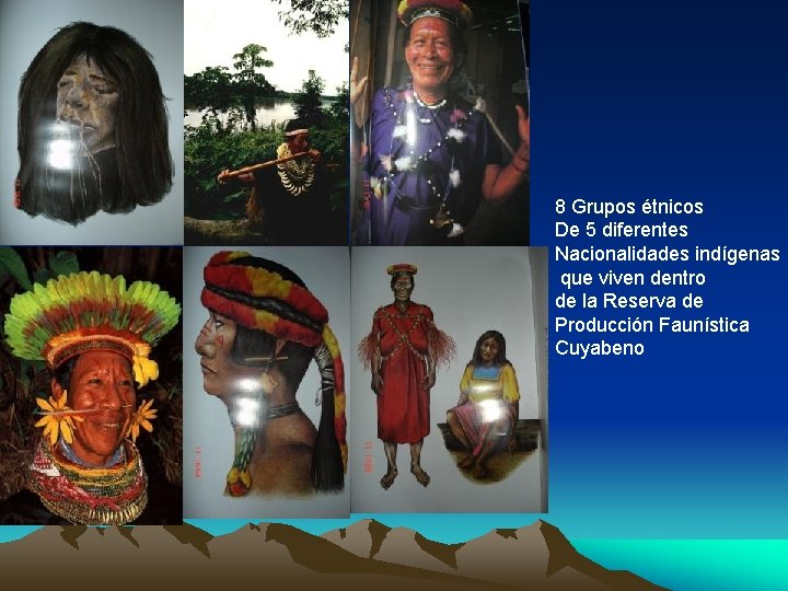 8 Grupos étnicos De 5 diferentes Nacionalidades indígenas que viven dentro de la Reserva
