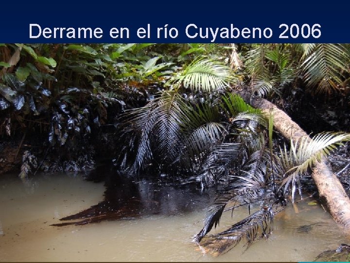 Derrame en el río Cuyabeno 2006 