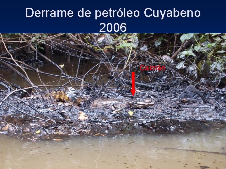 Derrame de petróleo Cuyabeno 2006 Caimán 