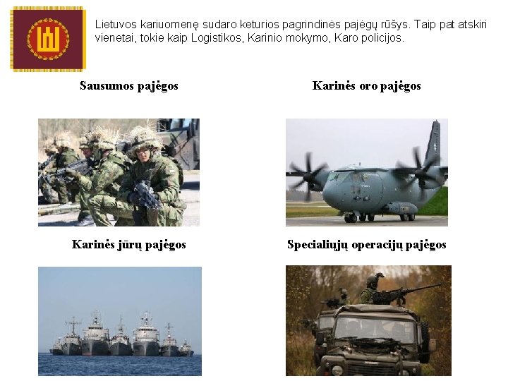 Lietuvos kariuomenę sudaro keturios pagrindinės pajėgų rūšys. Taip pat atskiri vienetai, tokie kaip Logistikos,