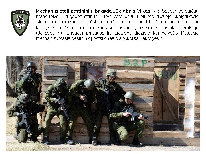 Mechanizuotoji pėstininkų brigada „Geležinis Vilkas“ yra Sausumos pajėgų branduolys. Brigados štabas ir trys batalionai