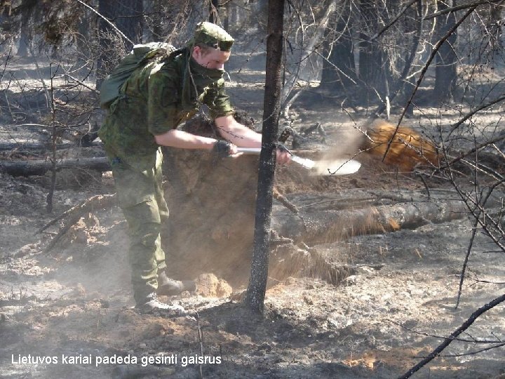 Lietuvos kariai padeda gesinti gaisrus 