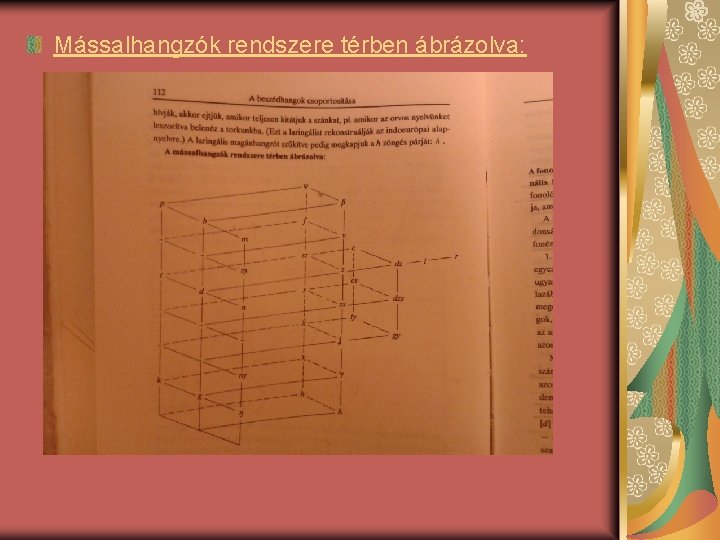 Mássalhangzók rendszere térben ábrázolva: 