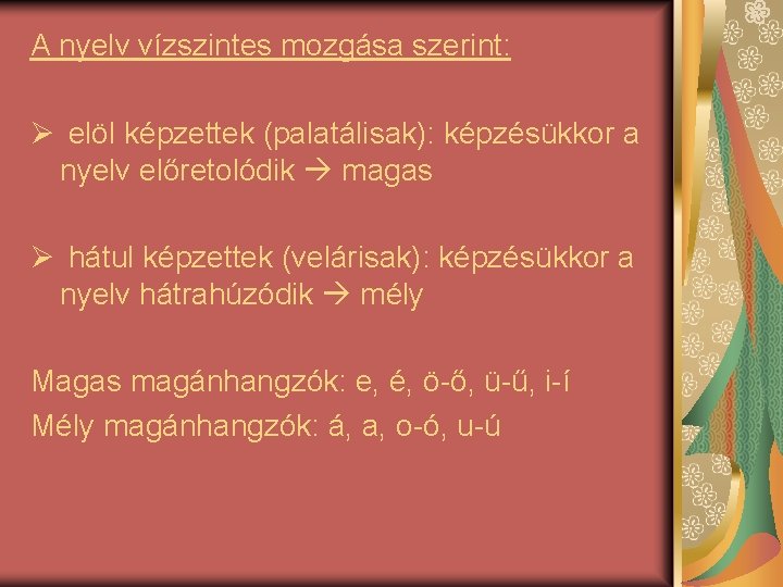 A nyelv vízszintes mozgása szerint: Ø elöl képzettek (palatálisak): képzésükkor a nyelv előretolódik magas