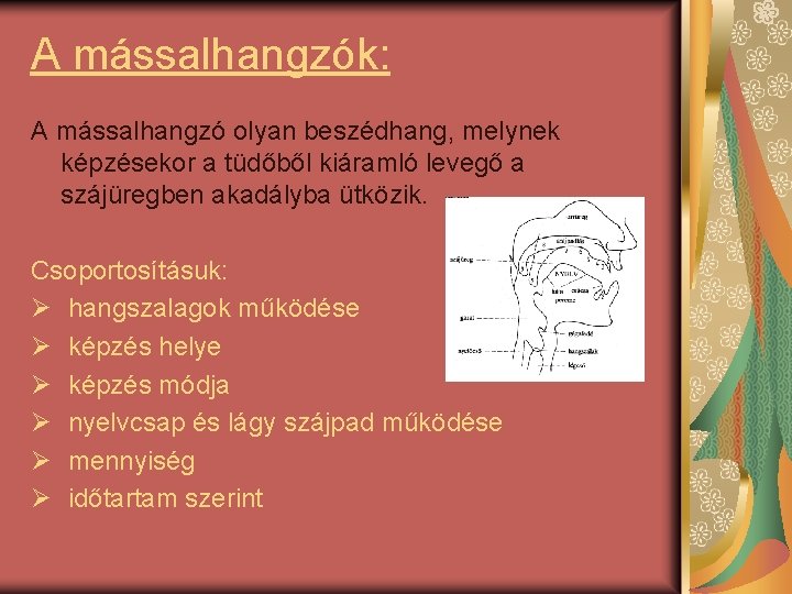 A mássalhangzók: A mássalhangzó olyan beszédhang, melynek képzésekor a tüdőből kiáramló levegő a szájüregben