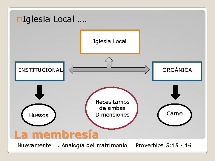 �Iglesia Local …. Iglesia Local INSTITUCIONAL Huesos ORGÁNICA Necesitamos de ambas Dimensiones Carne La