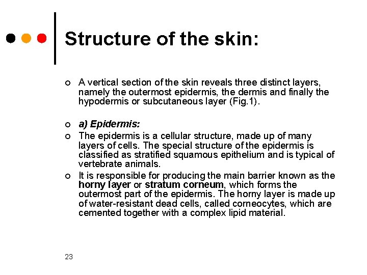 Structure of the skin: ¢ A vertical section of the skin reveals three distinct