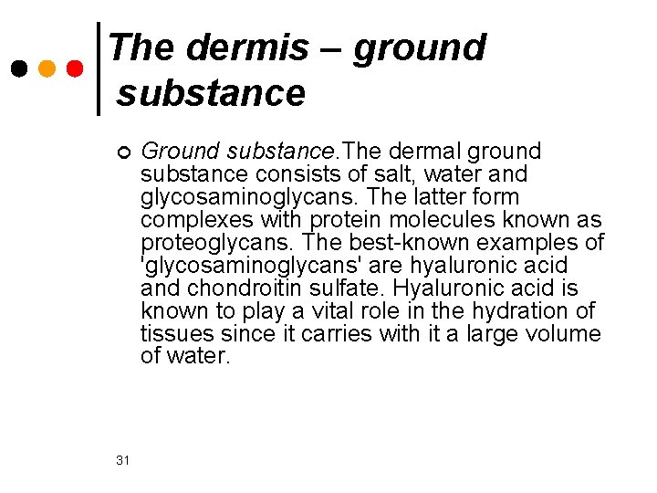The dermis – ground substance ¢ 31 Ground substance. The dermal ground substance consists