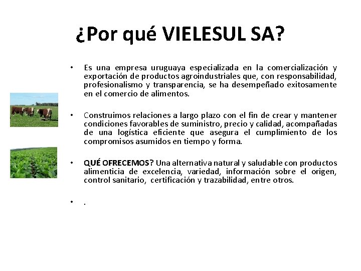 ¿Por qué VIELESUL SA? • Es una empresa uruguaya especializada en la comercialización y