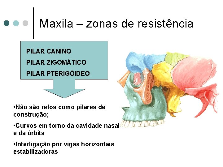 Maxila – zonas de resistência PILAR CANINO PILAR ZIGOMÁTICO PILAR PTERIGÓIDEO • Não são