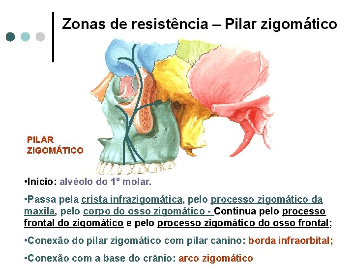Zonas de resistência – Pilar zigomático PILAR ZIGOMÁTICO • Início: alvéolo do 1º molar.