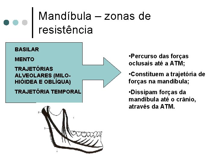 Mandíbula – zonas de resistência BASILAR MENTO TRAJETÓRIAS ALVEOLARES (MILOHIÓIDEA E OBLÍQUA) TRAJETÓRIA TEMPORAL